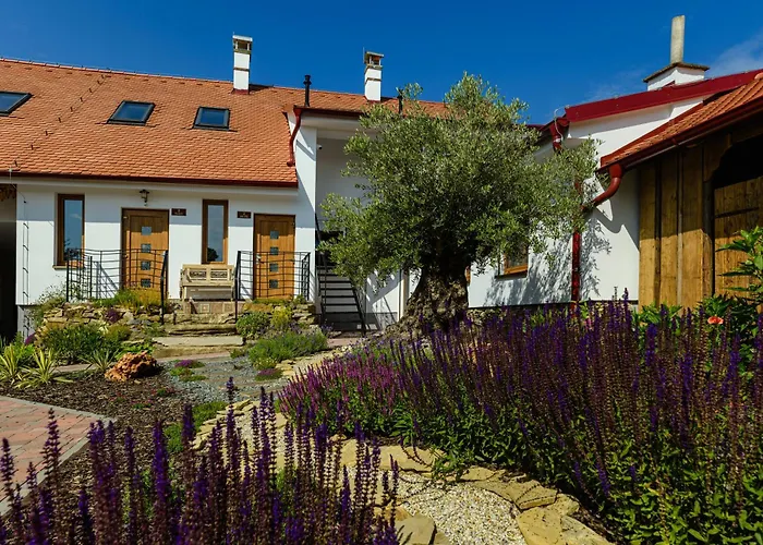 Apartamento Folklór Na Gruntě Mikulčice